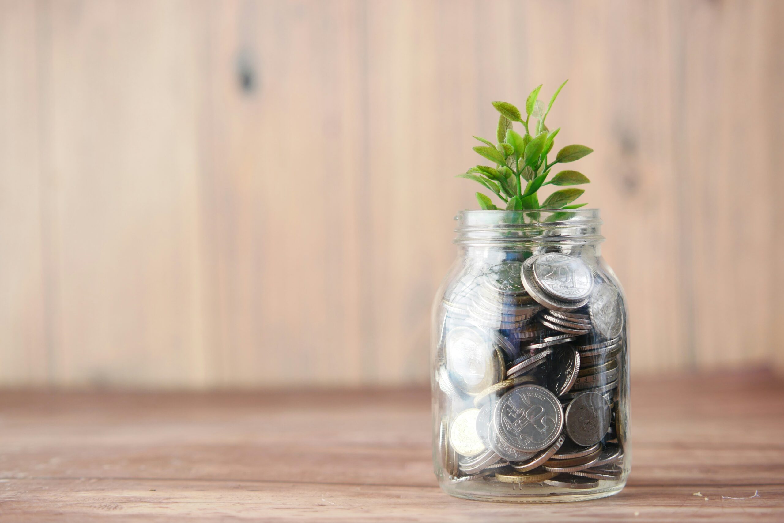 investing $30 a month and results